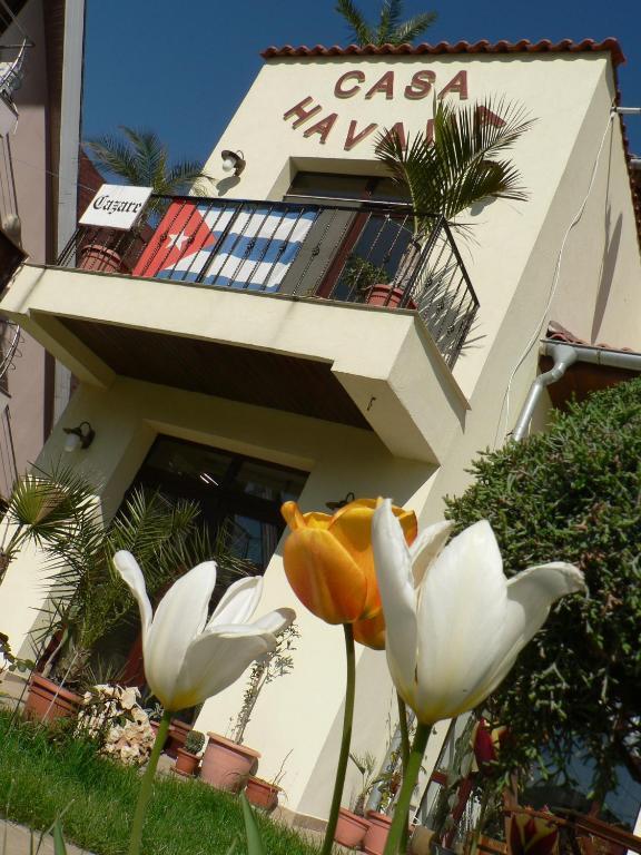 Casa Havana (Adults Only) Costinesti Eksteriør billede