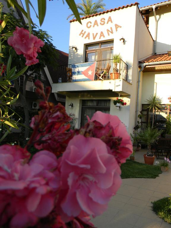 Casa Havana (Adults Only) Costinesti Eksteriør billede