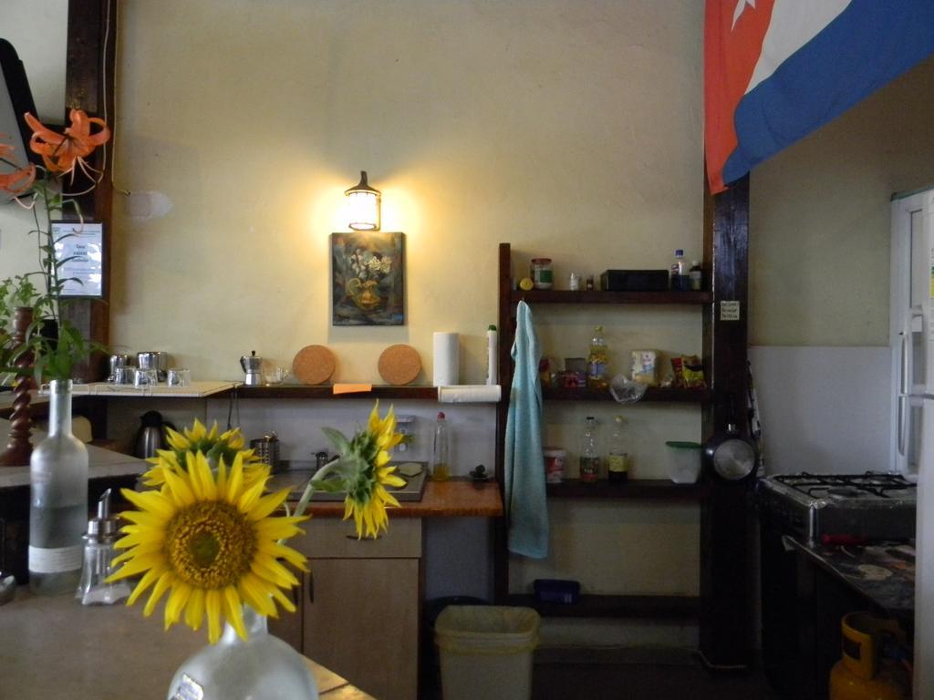 Casa Havana (Adults Only) Costinesti Eksteriør billede